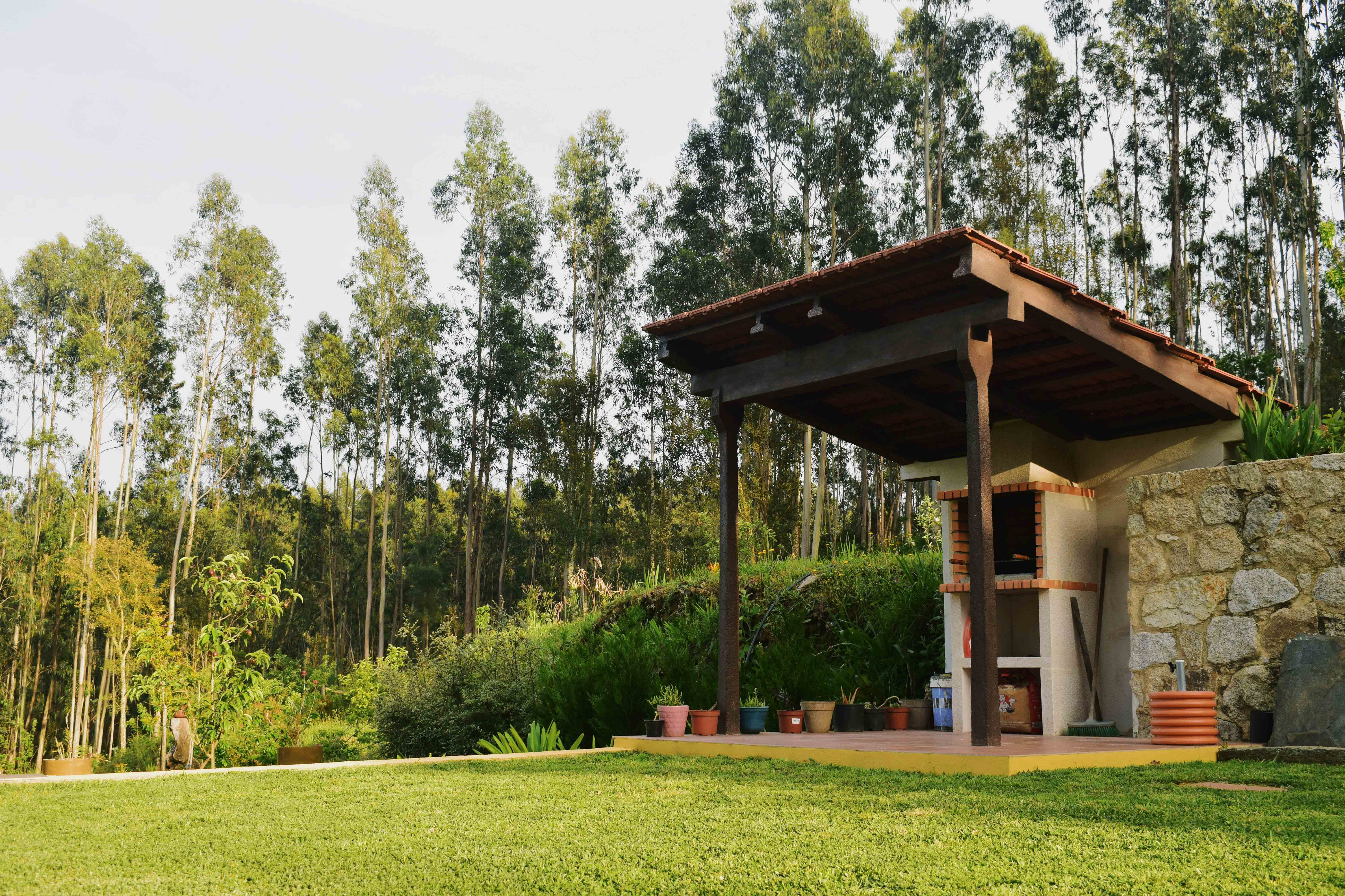casa 6